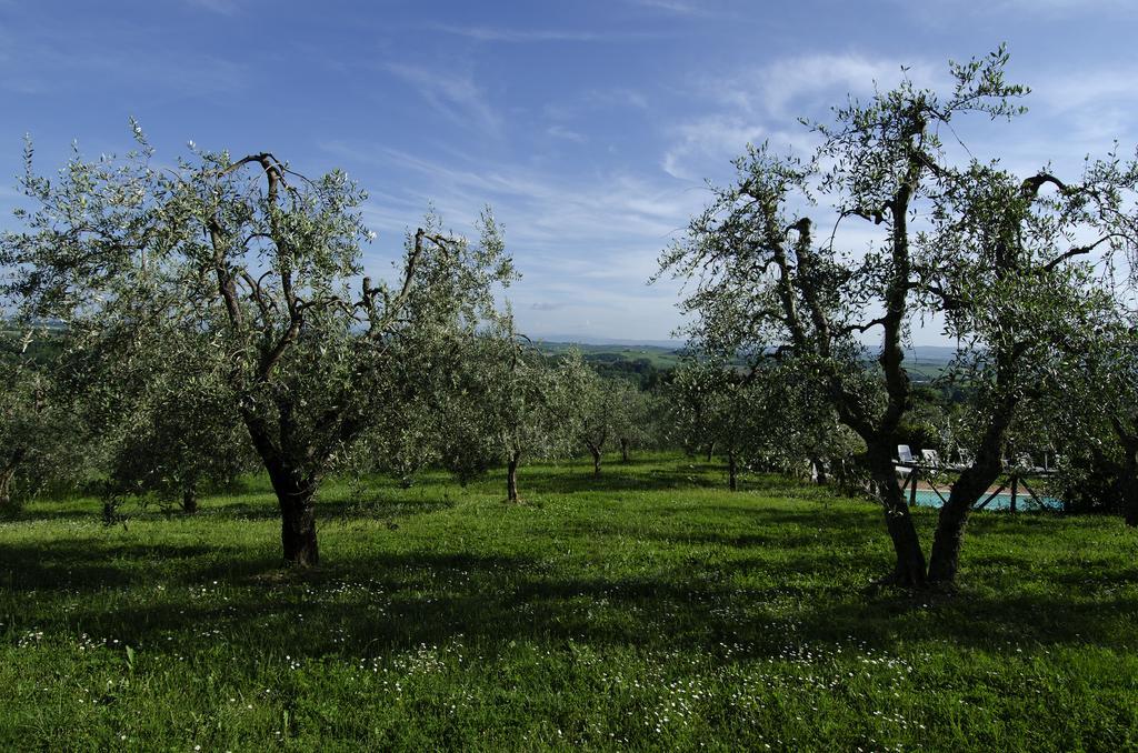 Agriturismo Poggio Bonelli Castelnuovo Berardenga Exterior photo