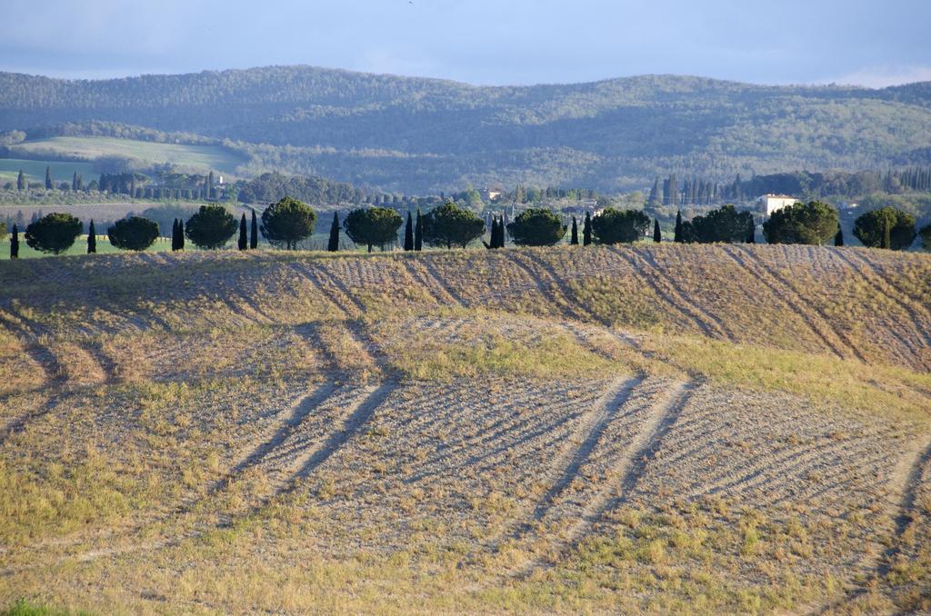 Agriturismo Poggio Bonelli Castelnuovo Berardenga Exterior photo